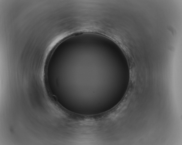 X0000113960196200910091636