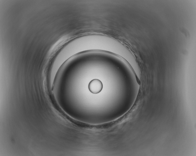 X0000113960197200910091636