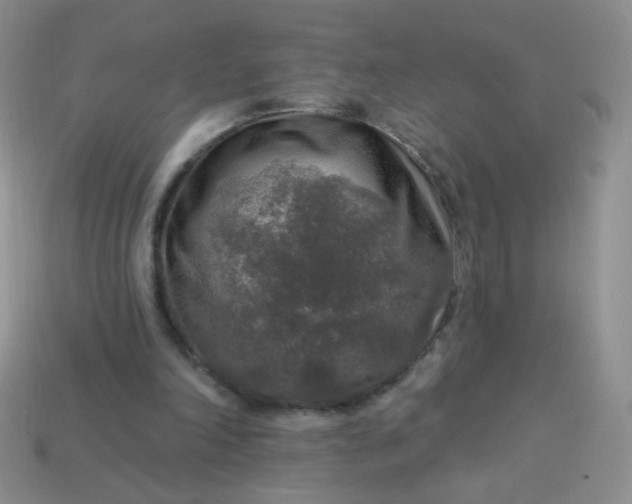 X0000113960198200910091636