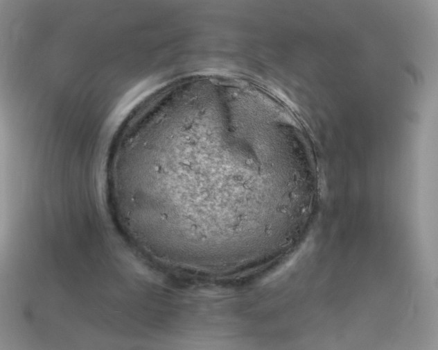 X0000113960199200910091636