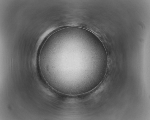 X0000113960200200910091636