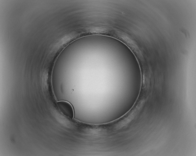 X0000113960201200910091636