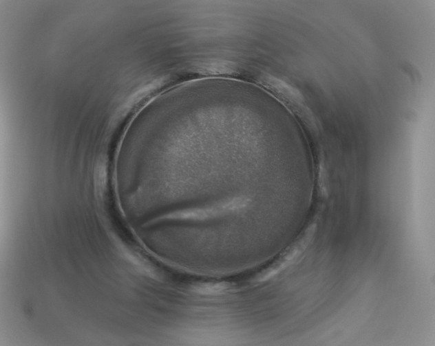 X0000113960202200910091636