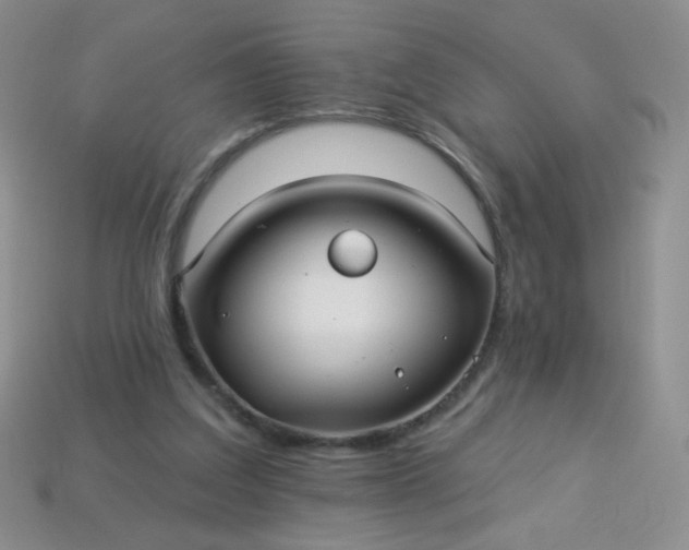 X0000113960203200910091636