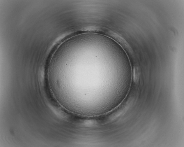 X0000113960204200910091636