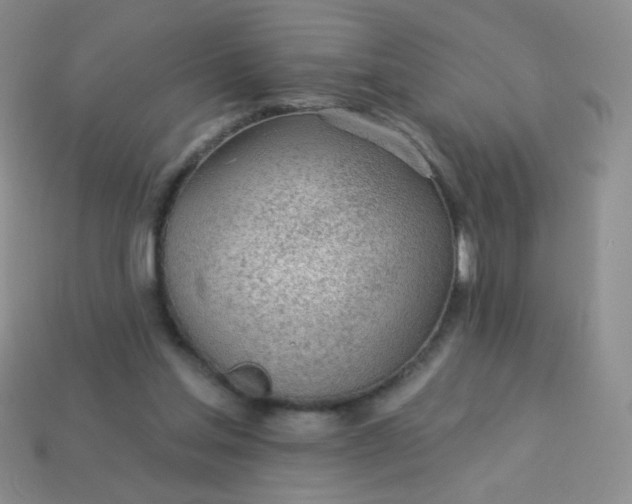 X0000113960205200910091636