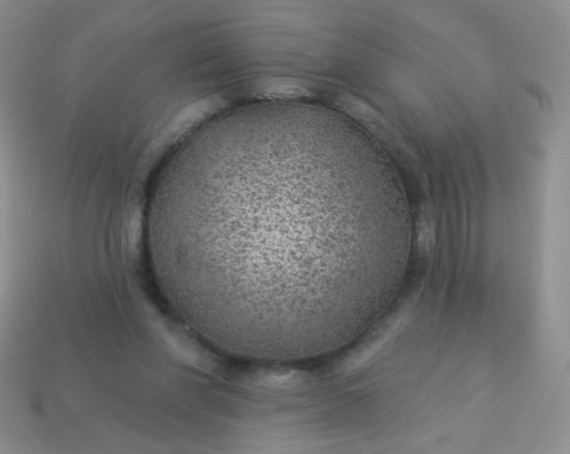 X0000113960206200910091636