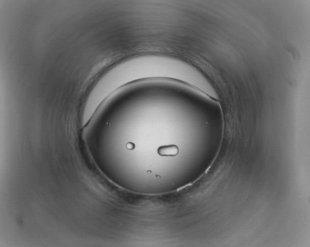 X0000113960207200910091636