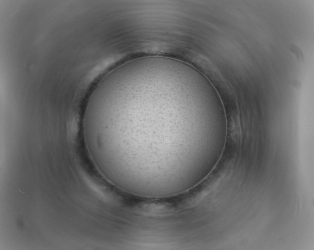 X0000113960208200910091636