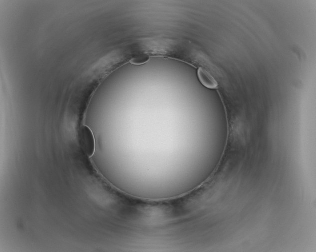 X0000113960209200910091636