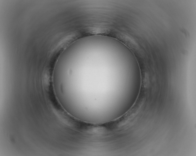 X0000113960210200910091636