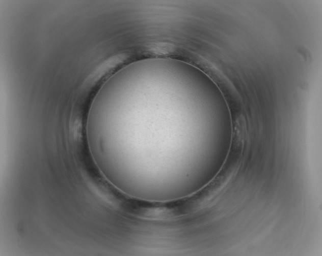 X0000113960212200910091636