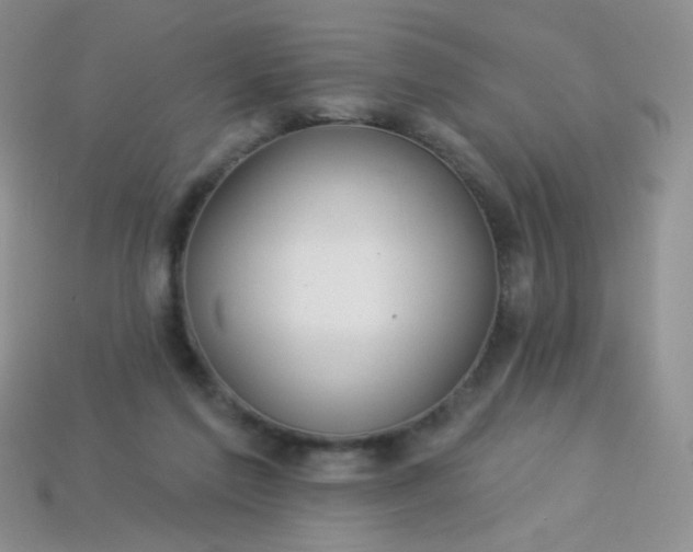 X0000113960213200910091636