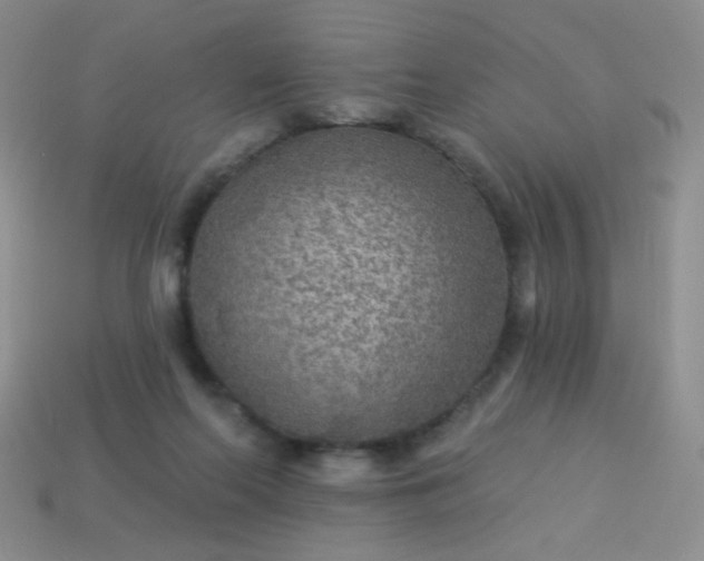 X0000113960214200910091636