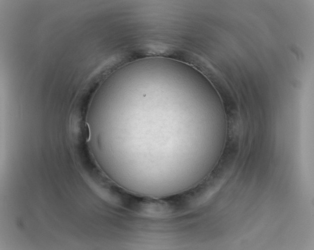 X0000113960215200910091636