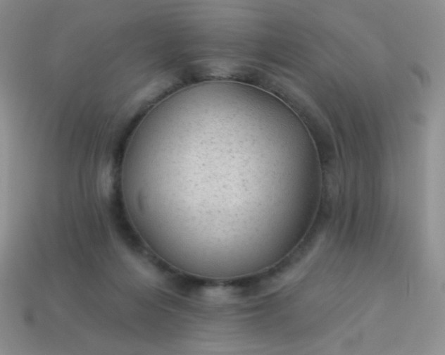 X0000113960216200910091636