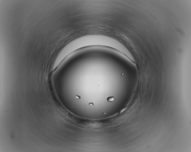 X0000113960217200910091636