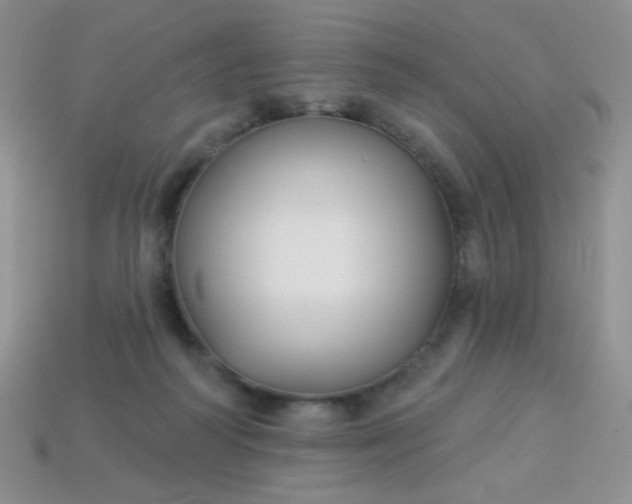 X0000113960218200910091636