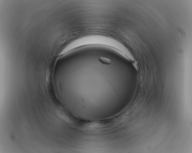 X0000113960219200910091636