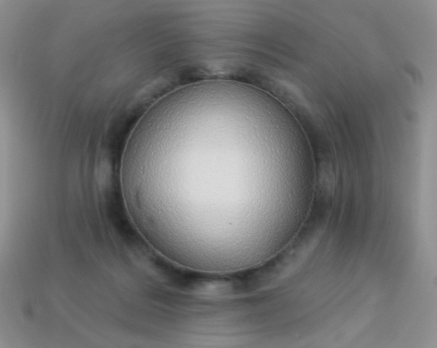 X0000113960220200910091636