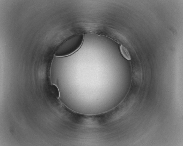 X0000113960221200910091636