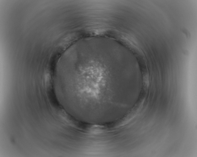 X0000113960222200910091636