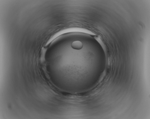 X0000113960223200910091636