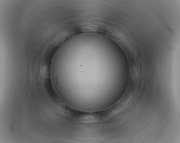 X0000113960224200910091635