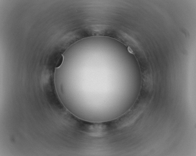 X0000113960225200910091635