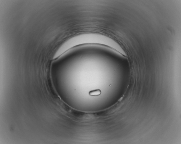 X0000113960227200910091635