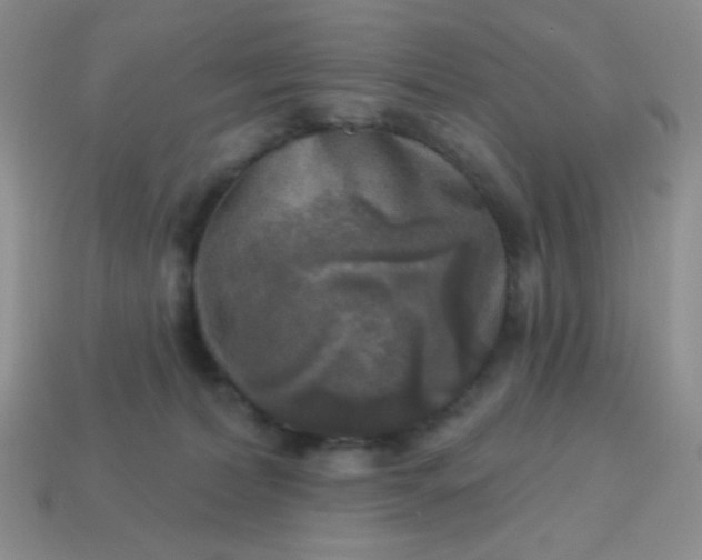 X0000113960228200910091635