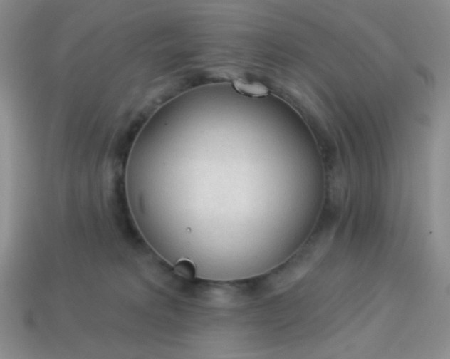 X0000113960229200910091635