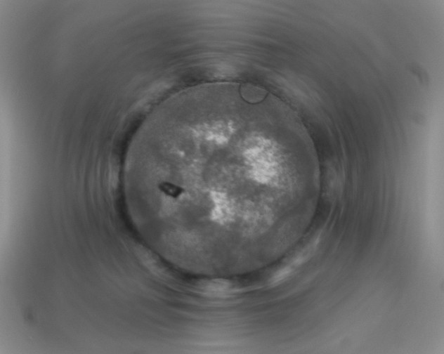 X0000113960230200910091635