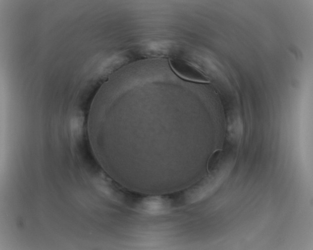 X0000113960231200910091635