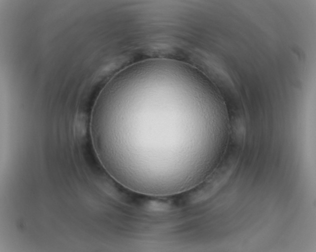 X0000113960232200910091635