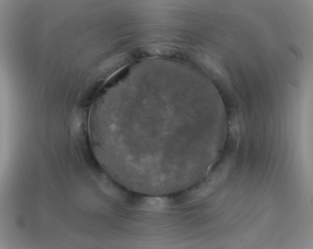 X0000113960233200910091635