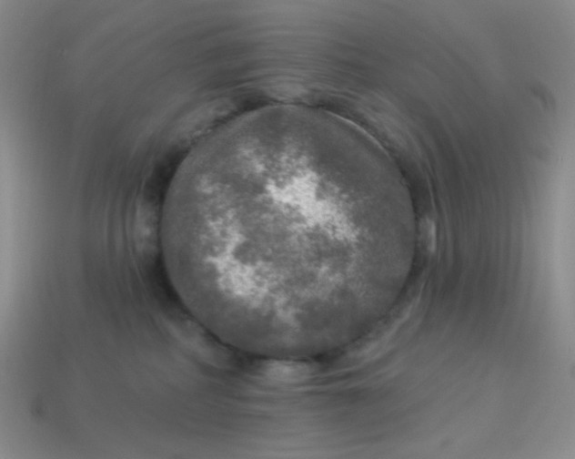 X0000113960234200910091635