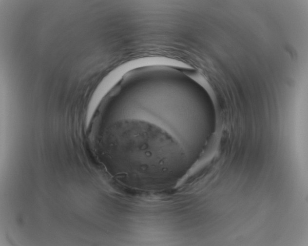 X0000113960235200910091635