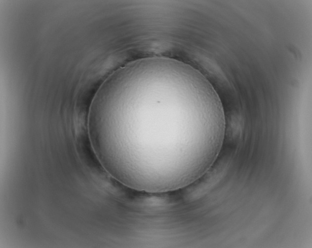 X0000113960236200910091635