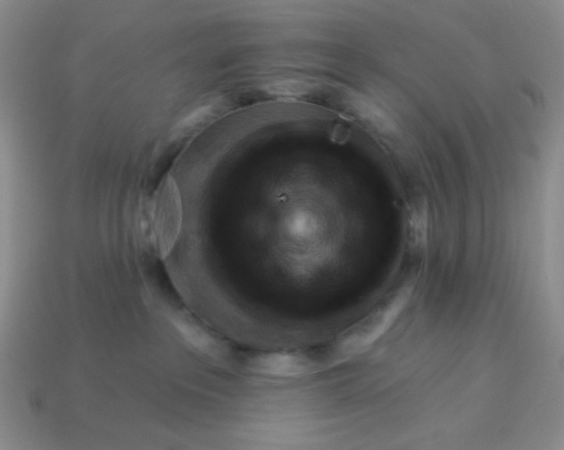 X0000113960237200910091635