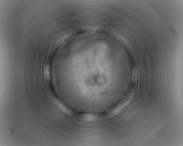 X0000113960238200910091635