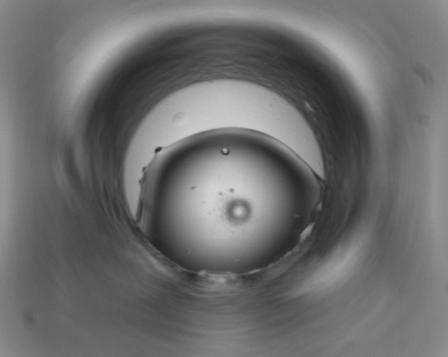 X0000113960239200910091635