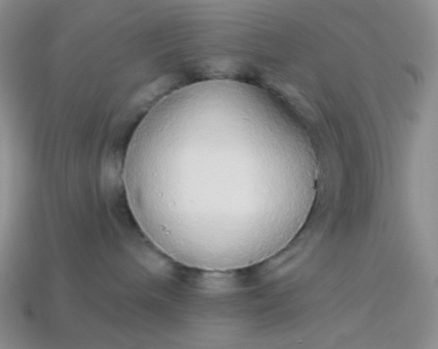 X0000113960240200910091635