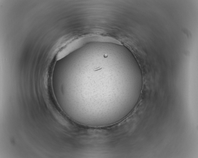 X0000113960242200910091635