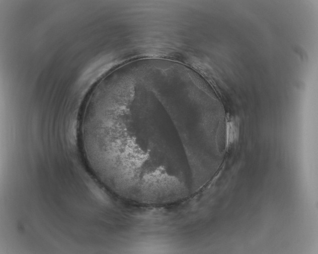 X0000113960243200910091635