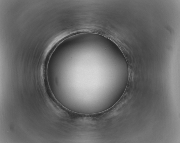 X0000113960244200910091635