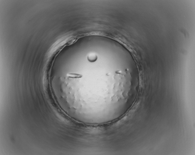 X0000113960245200910091635