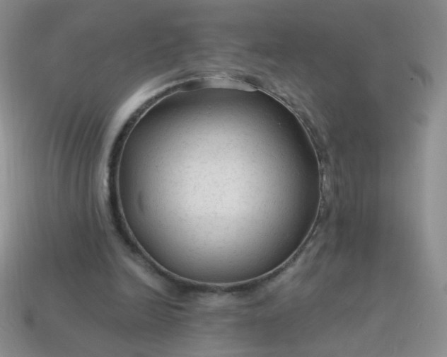 X0000113960246200910091635