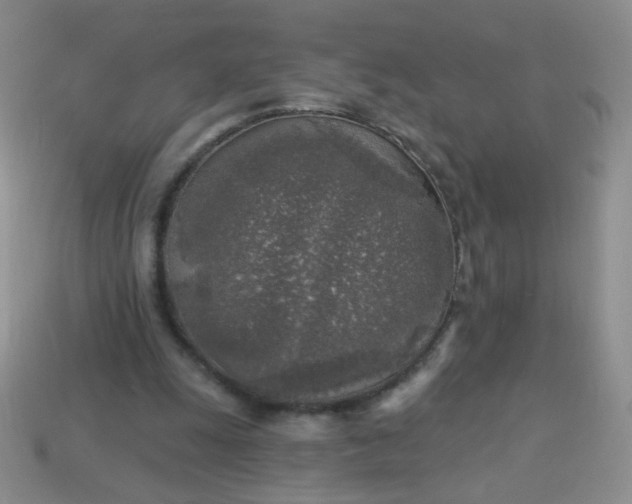 X0000113960247200910091635