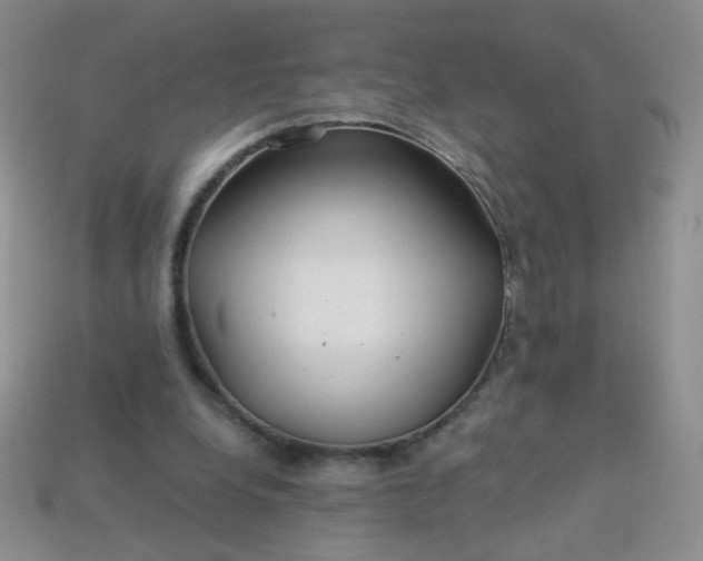 X0000113960248200910091635